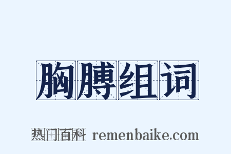 胸膊组词是什么意思的图片